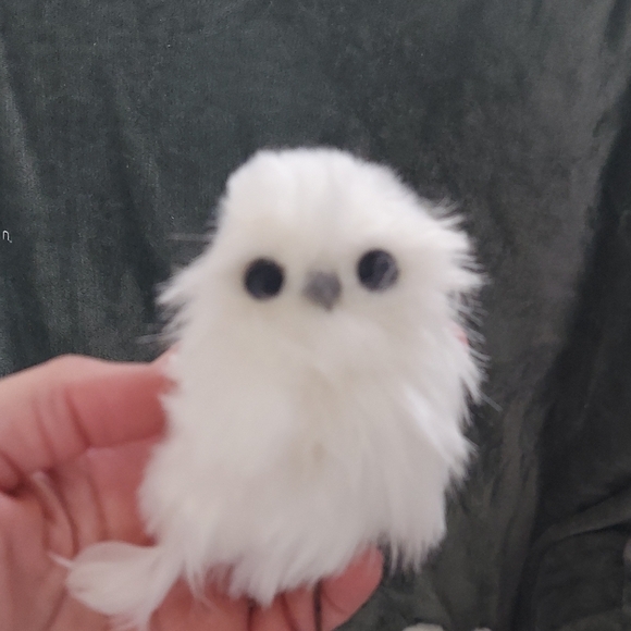 White 🦉 Owl 3" - Picture 6 of 6